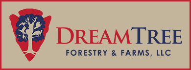Dream Tree Forestry