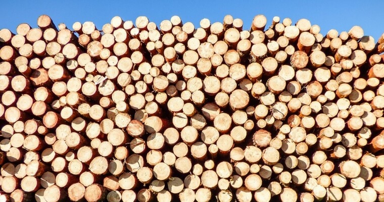 Timber Sales