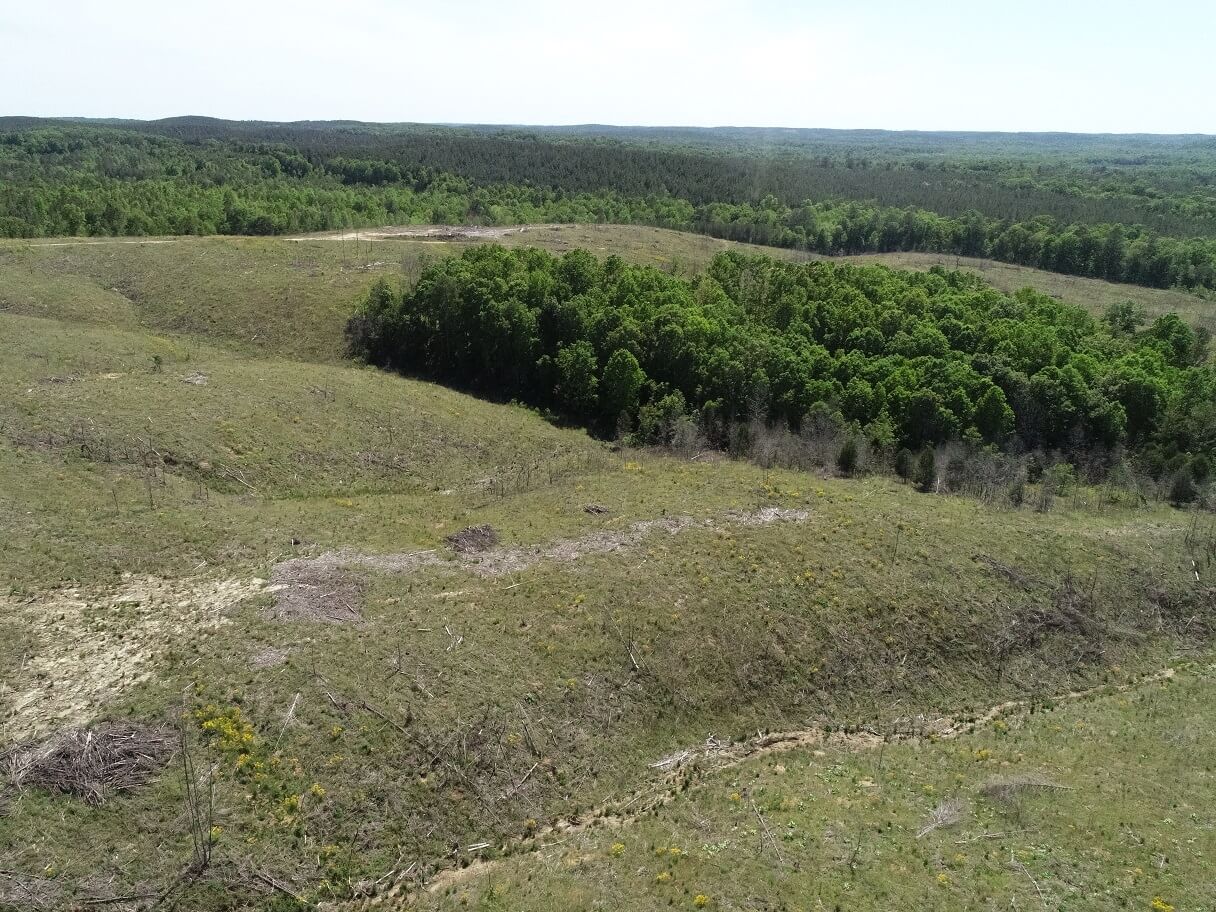 8 DJI_0005.JPG