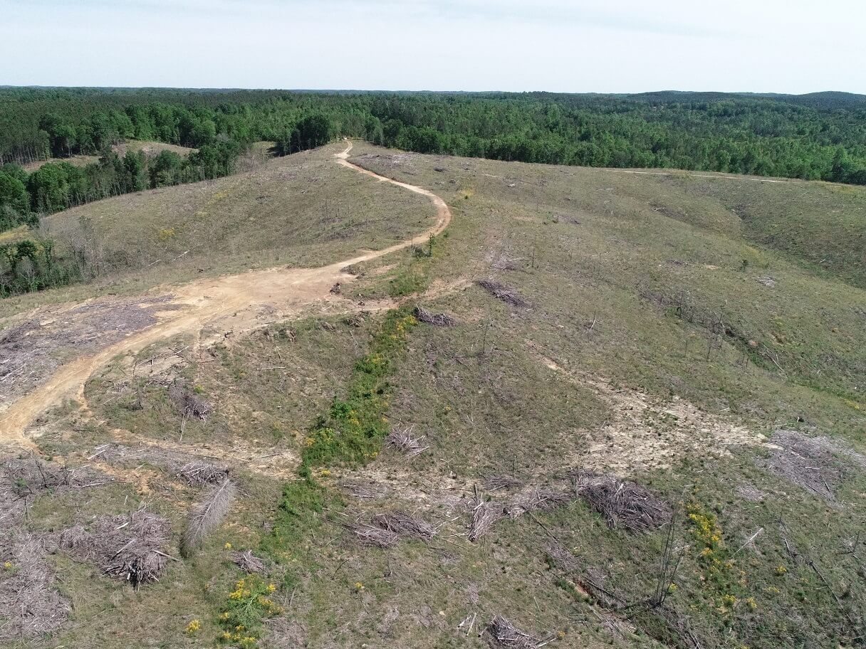 13 DJI_0004.JPG
