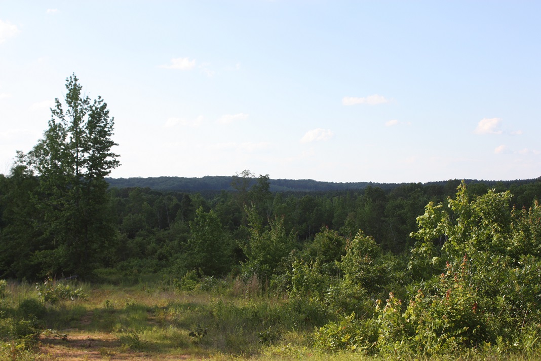 24 Horizon View.JPG