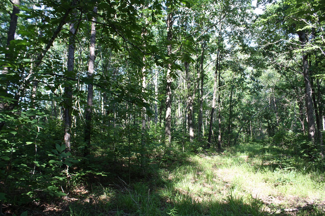 32 Ridge Road.JPG