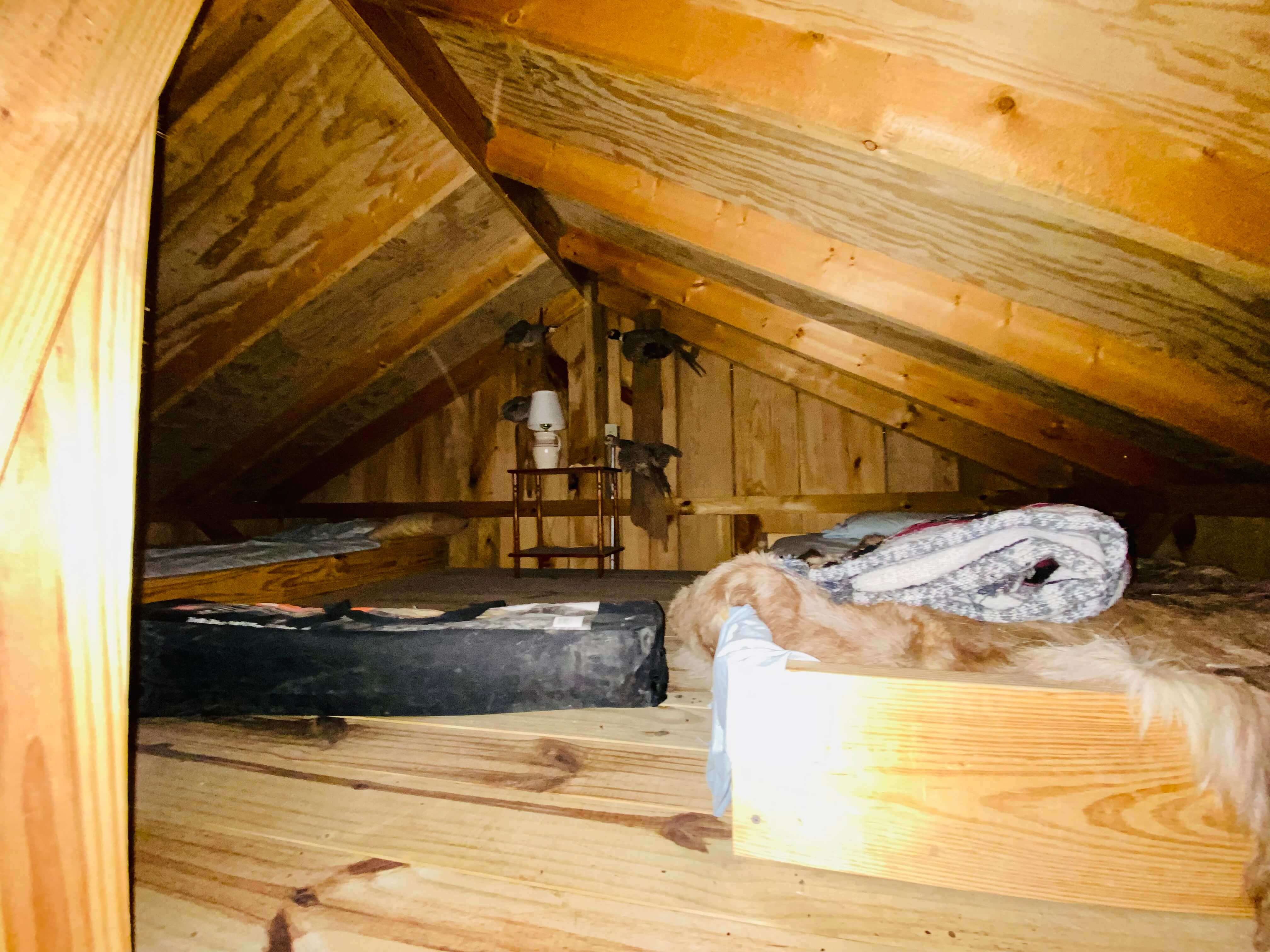 23 IMG_2906.jpg