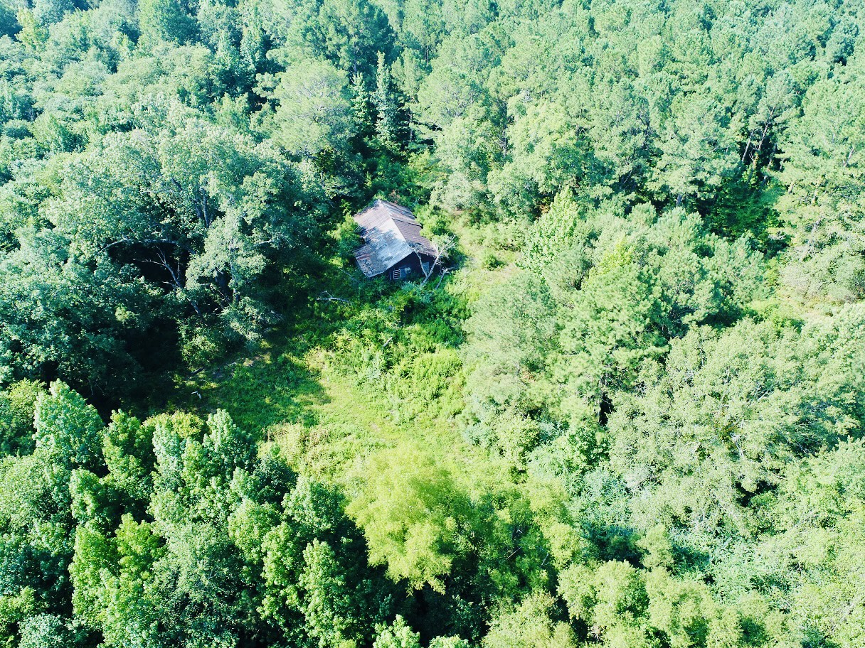 5 DJI_0013.jpg