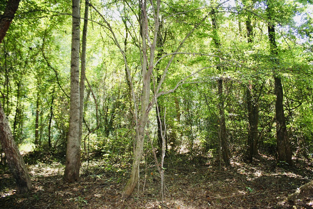9 IMG_6380.jpg