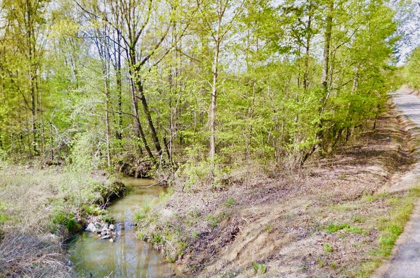 2 Creek.JPG