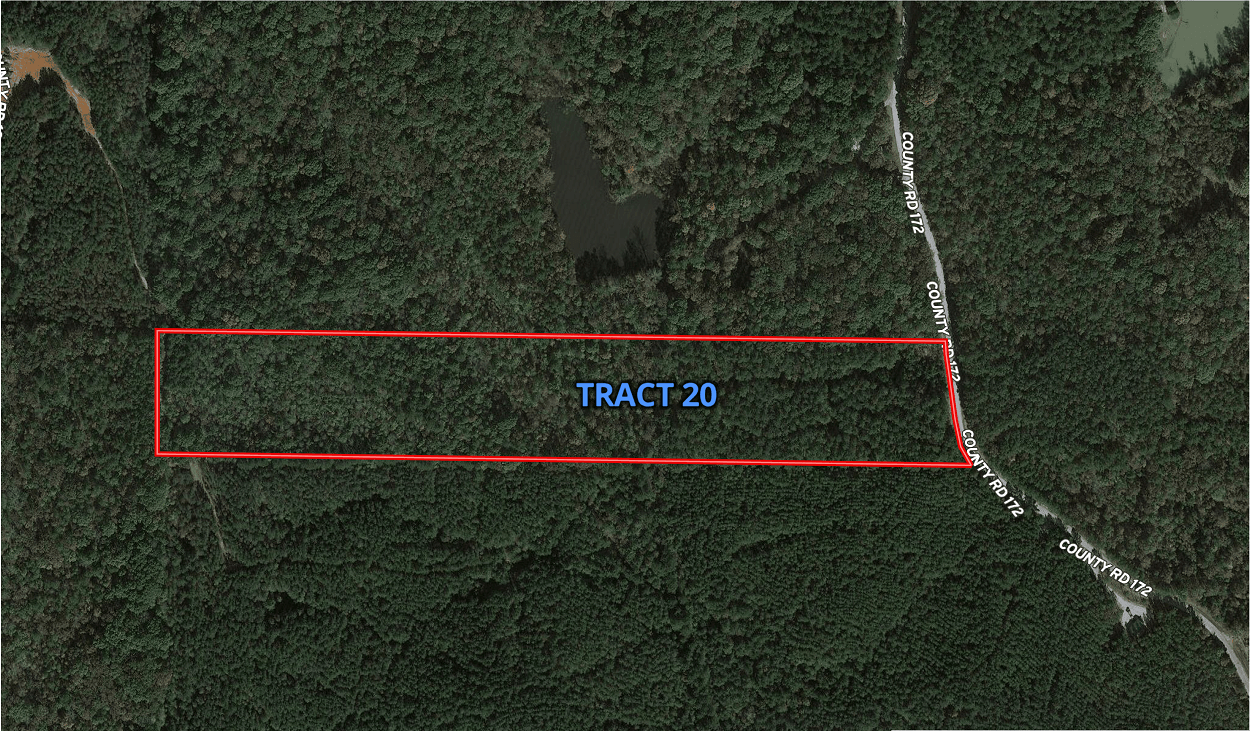 10 Aerial Map.png