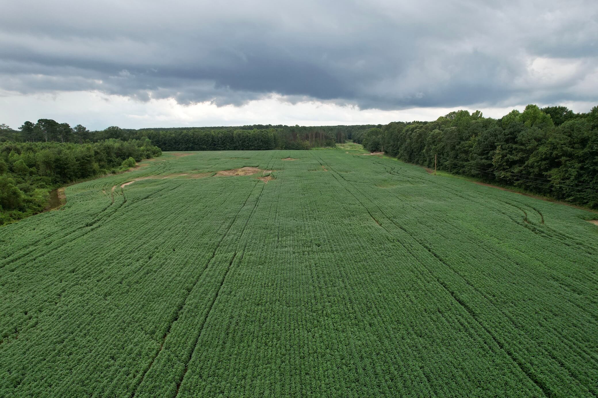 4 dji-fly 1569.jpg