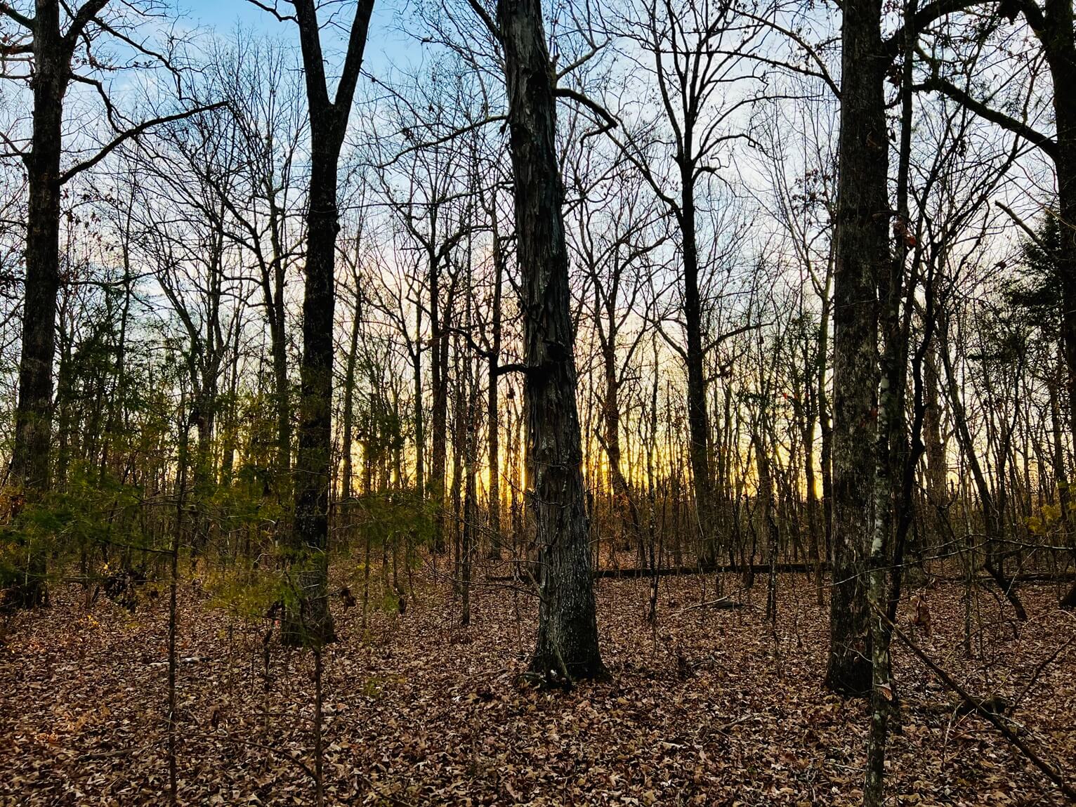 3 IMG_E2019.JPG