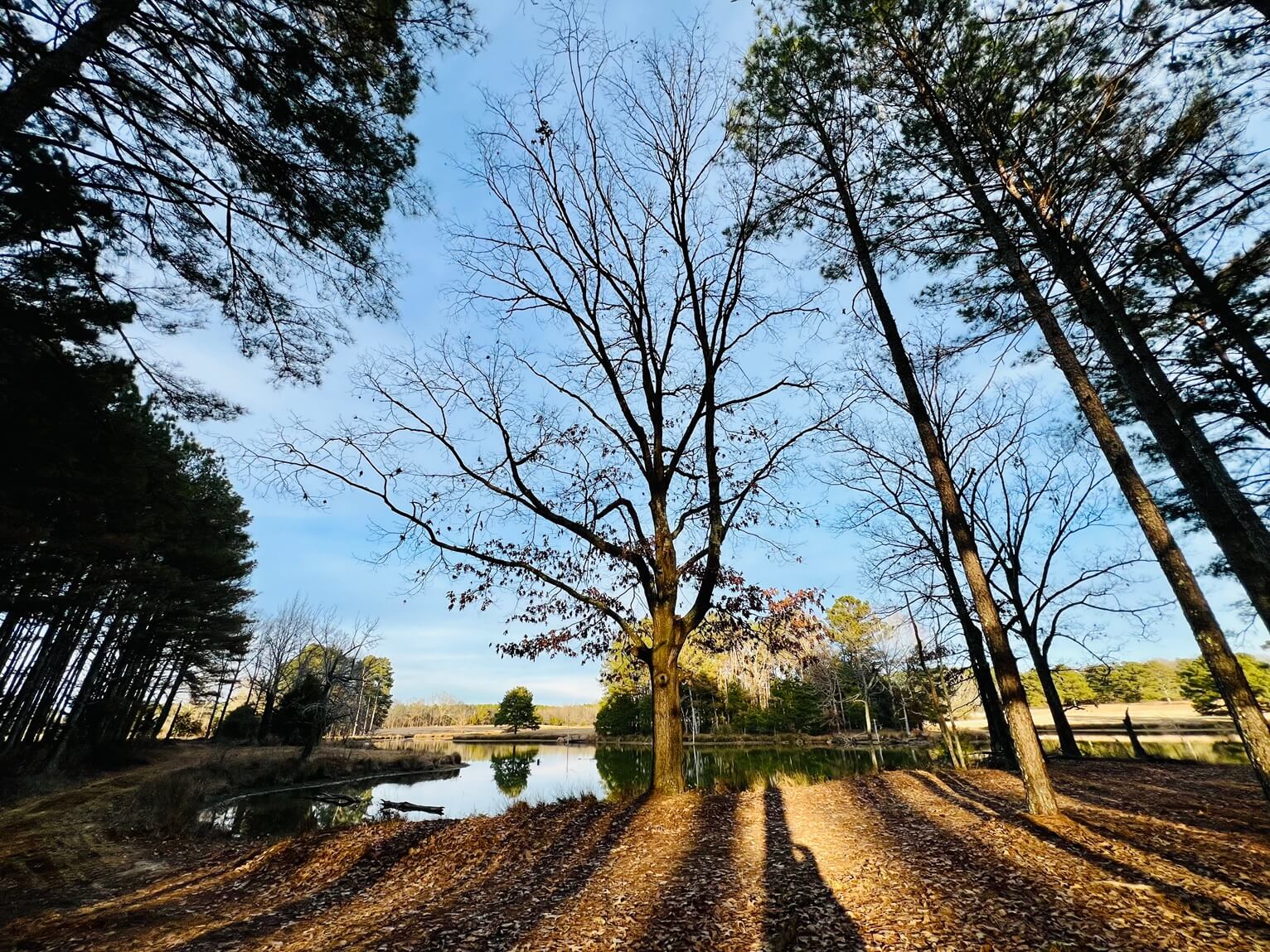 68 IMG_E1984.JPG