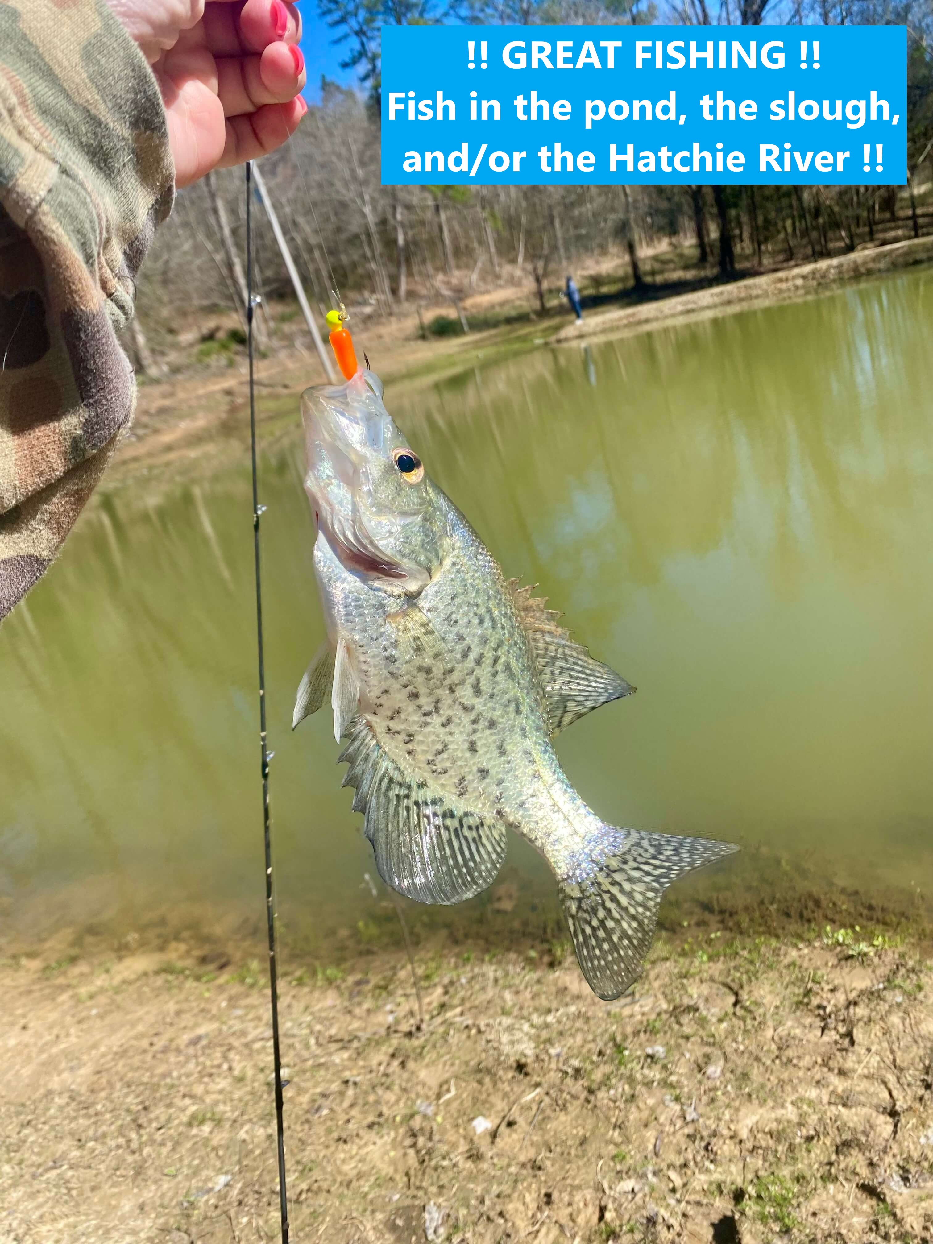 8 fish.jpg